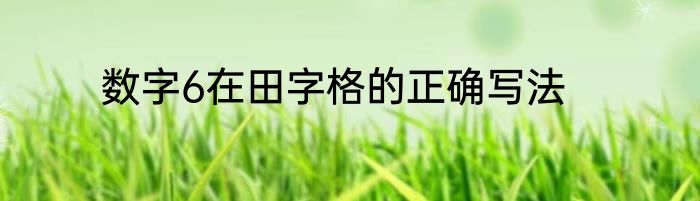 数字6在田字格的正确写法