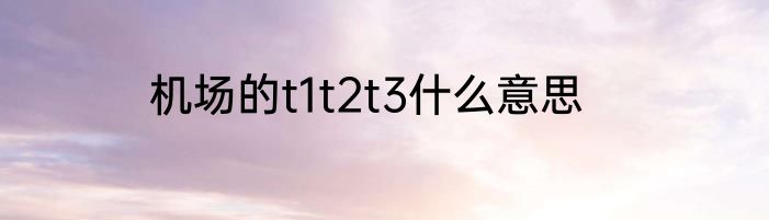 机场的t1t2t3什么意思
