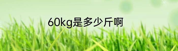 60kg是多少斤啊
