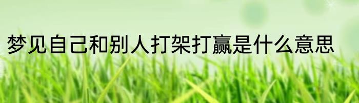 梦见自己和别人打架打赢是什么意思