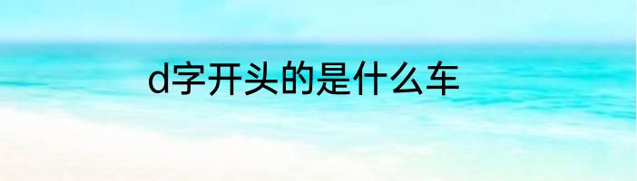 d字开头的是什么车