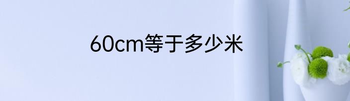 60cm等于多少米