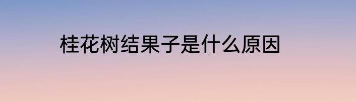 桂花树结果子是什么原因