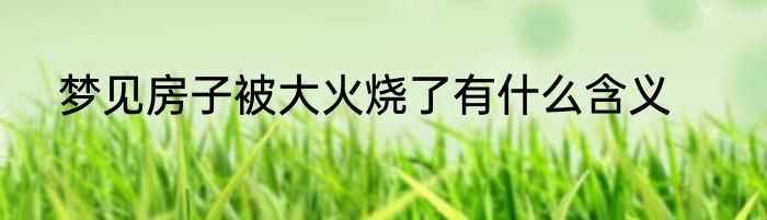 梦见房子被大火烧了有什么含义