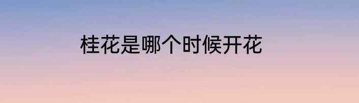桂花是哪个时候开花