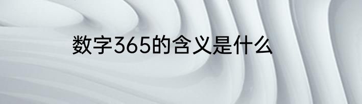 数字365的含义是什么
