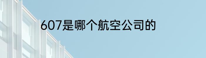 607是哪个航空公司的