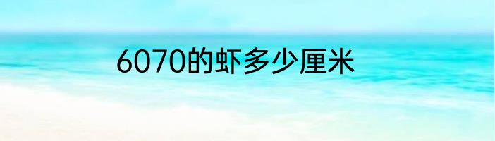 6070的虾多少厘米