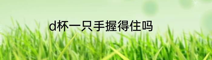 d杯一只手握得住吗