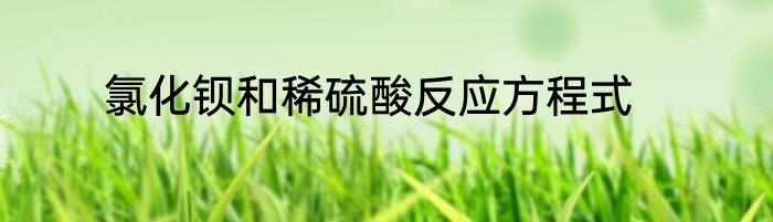 氯化钡和稀硫酸反应方程式