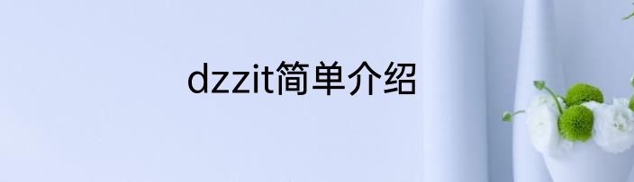 dzzit简单介绍