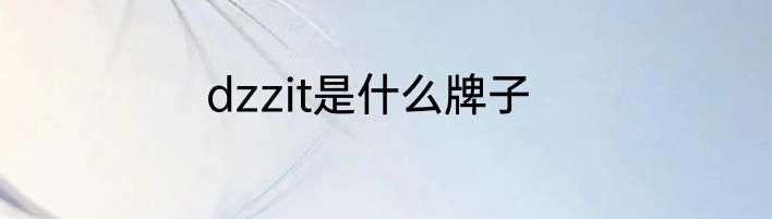 dzzit是什么牌子