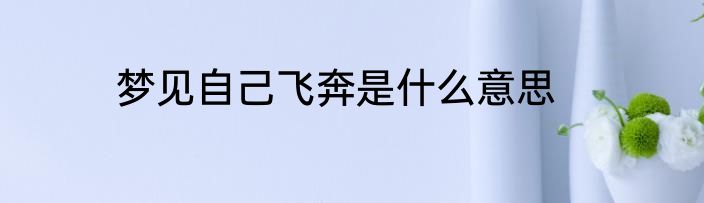 梦见自己飞奔是什么意思