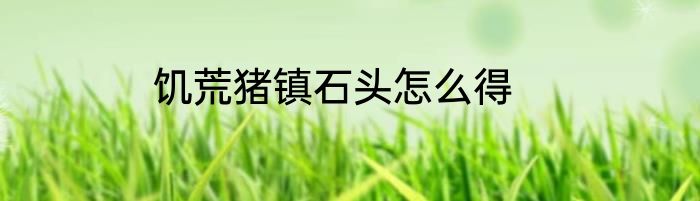 饥荒猪镇石头怎么得