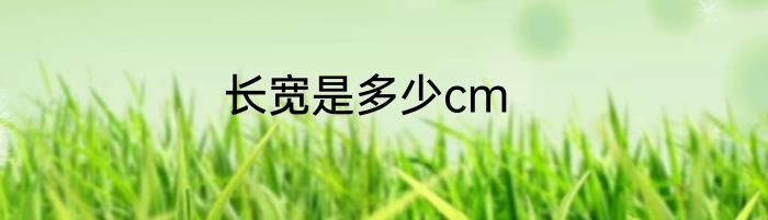 长宽是多少cm