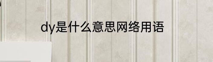 dy是什么意思网络用语