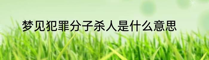 梦见犯罪分子杀人是什么意思