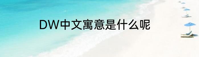 DW中文寓意是什么呢
