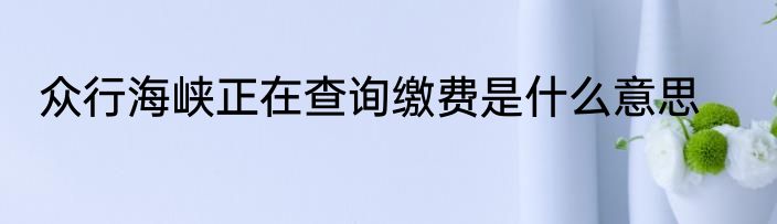 众行海峡正在查询缴费是什么意思
