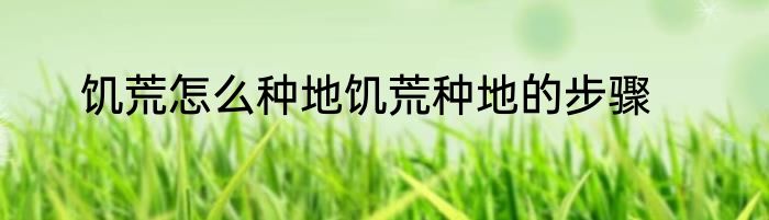 饥荒怎么种地饥荒种地的步骤