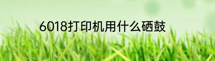 6018打印机用什么硒鼓