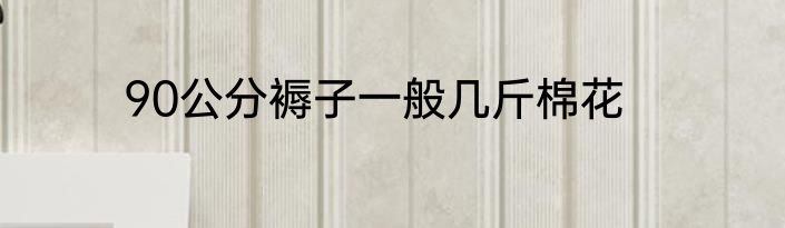90公分褥子一般几斤棉花