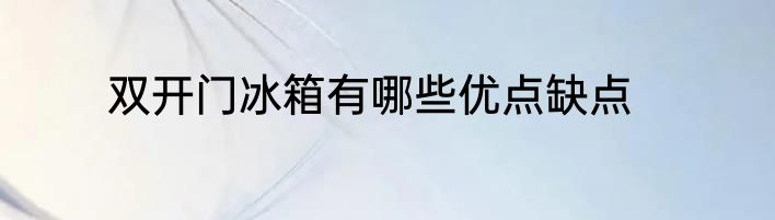 双开门冰箱有哪些优点缺点