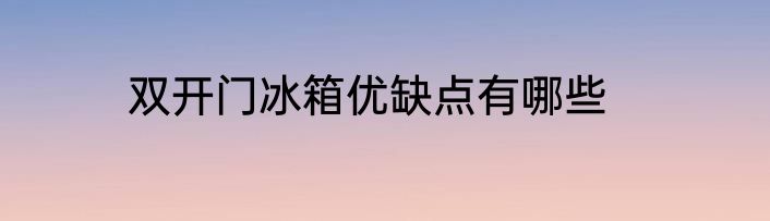 双开门冰箱优缺点有哪些
