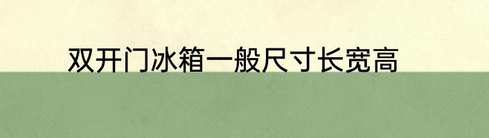 双开门冰箱一般尺寸长宽高