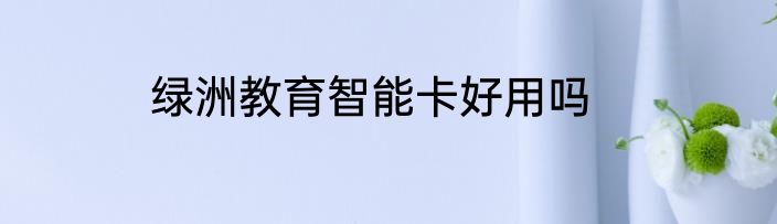 绿洲教育智能卡好用吗