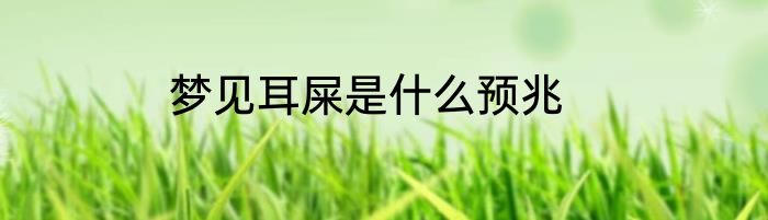 梦见耳屎是什么预兆