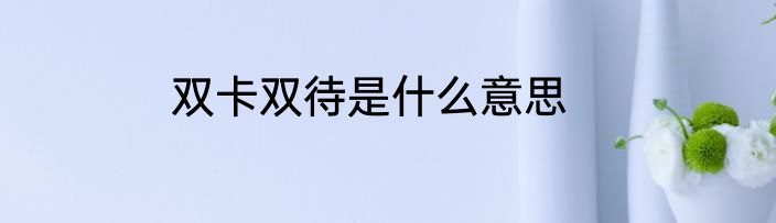 双卡双待是什么意思