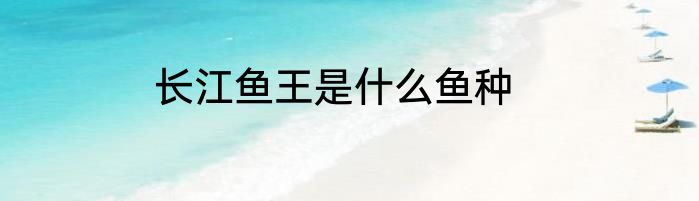 长江鱼王是什么鱼种
