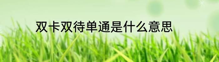 双卡双待单通是什么意思