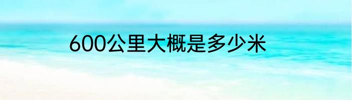 600公里大概是多少米