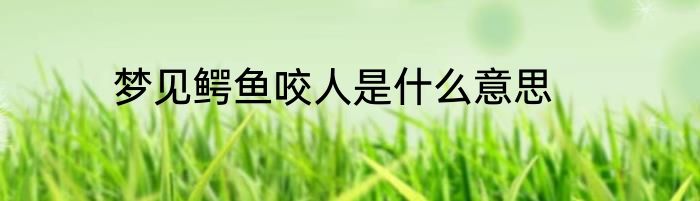 梦见鳄鱼咬人是什么意思