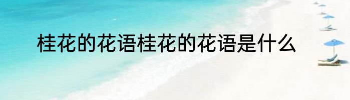 桂花的花语桂花的花语是什么