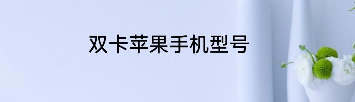 双卡苹果手机型号