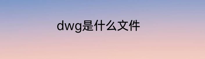 dwg是什么文件