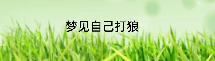 梦见自己打狼