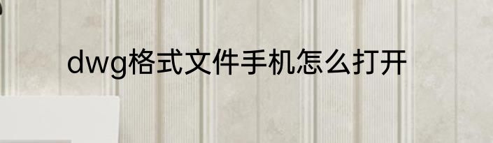 dwg格式文件手机怎么打开