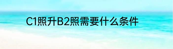 C1照升B2照需要什么条件