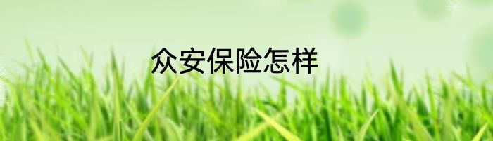 众安保险怎样
