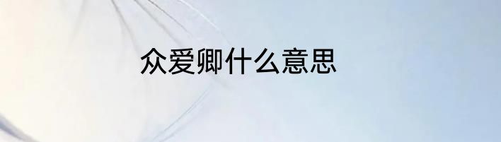 众爱卿什么意思