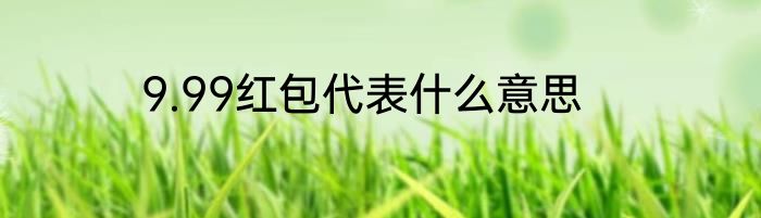 9.99红包代表什么意思