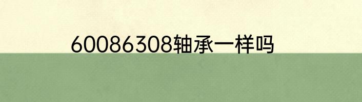60086308轴承一样吗