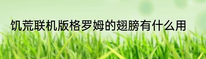 饥荒联机版格罗姆的翅膀有什么用