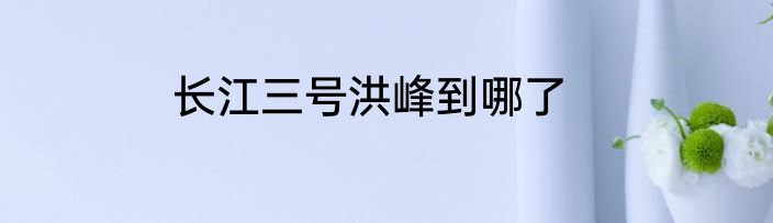长江三号洪峰到哪了