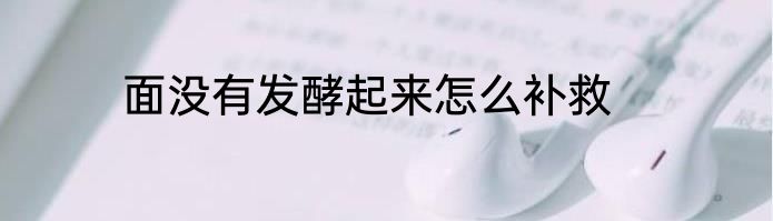 面没有发酵起来怎么补救