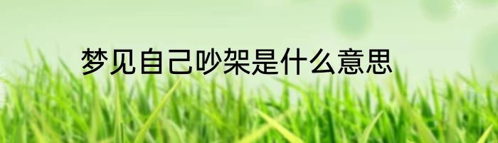 梦见自己吵架是什么意思